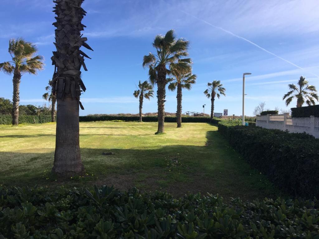 Apartamento A 100 Metros De La Playa Con Grande Terraza Y Vistas Al Mar Daimus Esterno foto